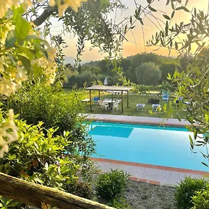 Alloro , Capannori Italië